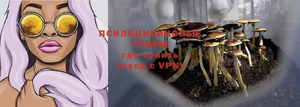 spice Балахна