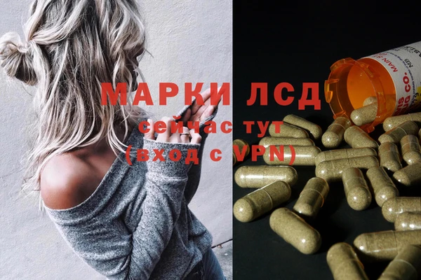 spice Балахна