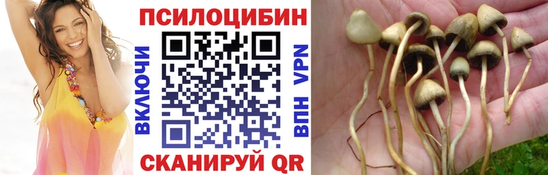 Галлюциногенные грибы мухоморы  mega ссылки  Теберда  наркота 